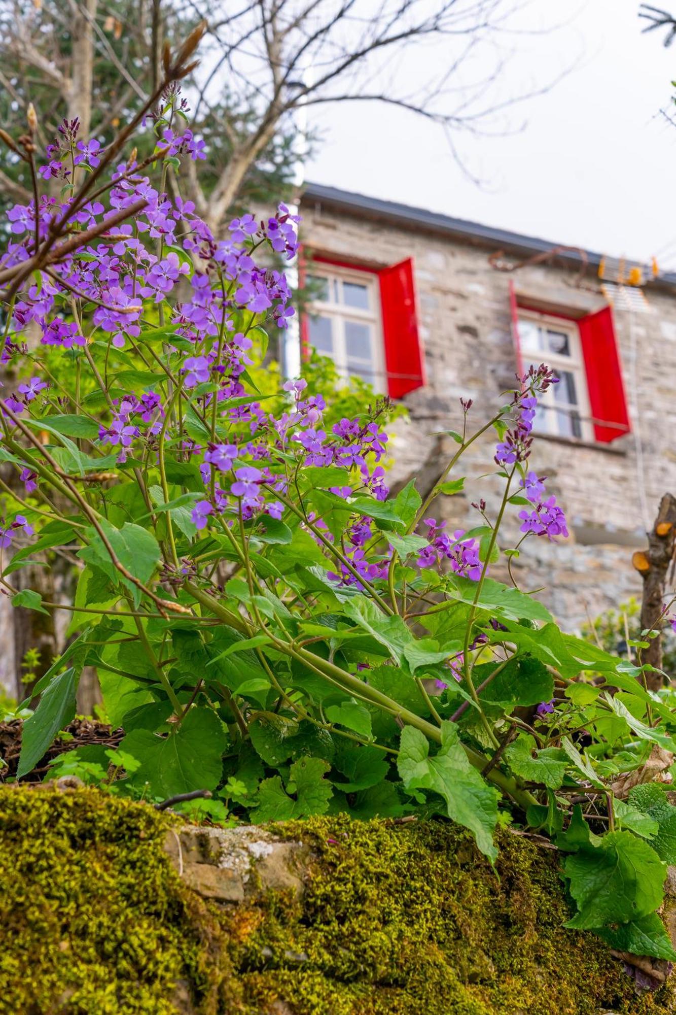 Shamrock Elati Retreats Otel Dış mekan fotoğraf